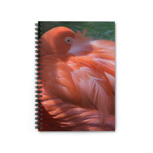 Pink Flamingo Spiral Notebook - Ruled Line Photo By Kim A. Bailey