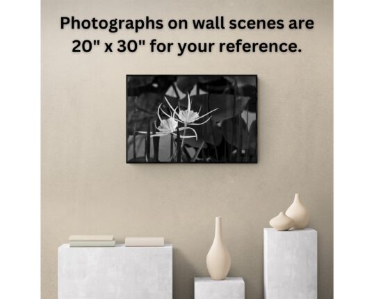 Nature-Inspired Photography Prints to Elevate Your Space "Green Moss on Lava Rocks in Iceland" image 7