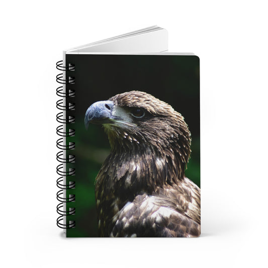 Young American Bald Eagle Spiral Notebook - Ruled Line Photo By Kim A. Bailey