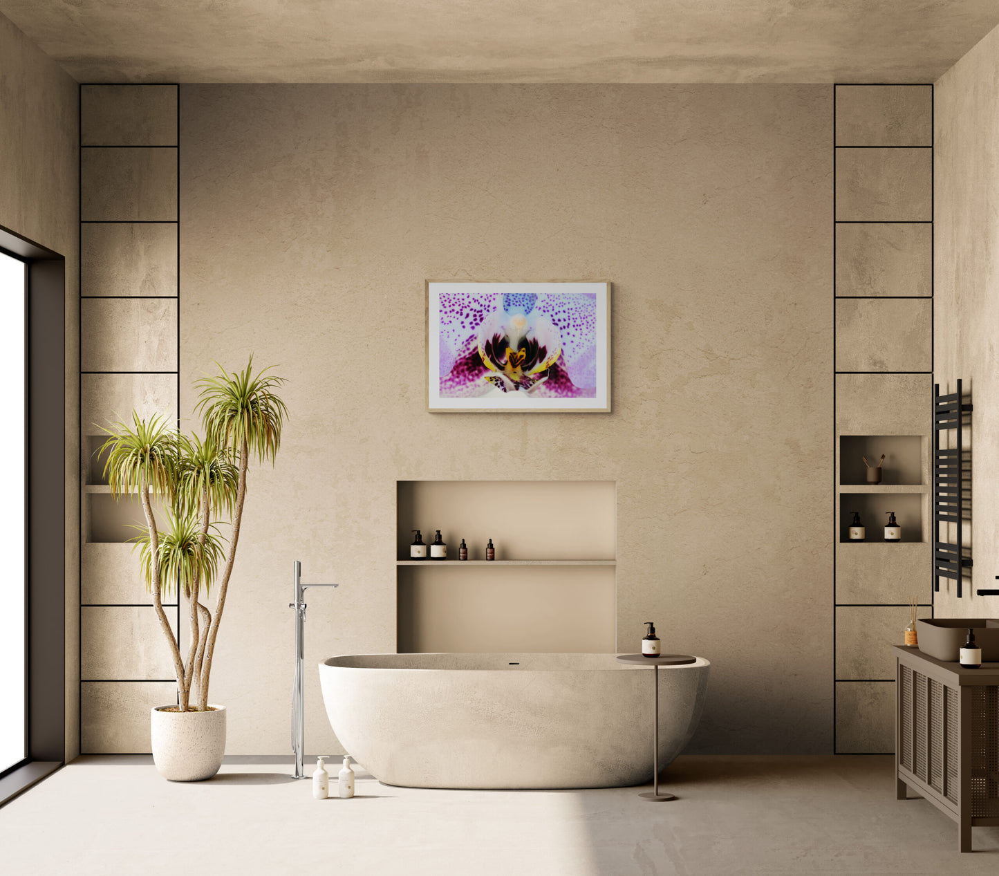 Phalaenopsis Orchid image 5
