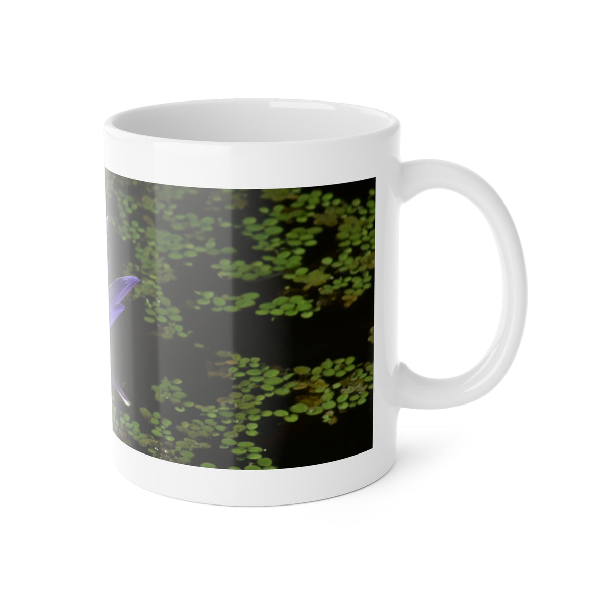 White Ceramic Mug, 11 oz "Blue Aster" by Kim A. Bailey