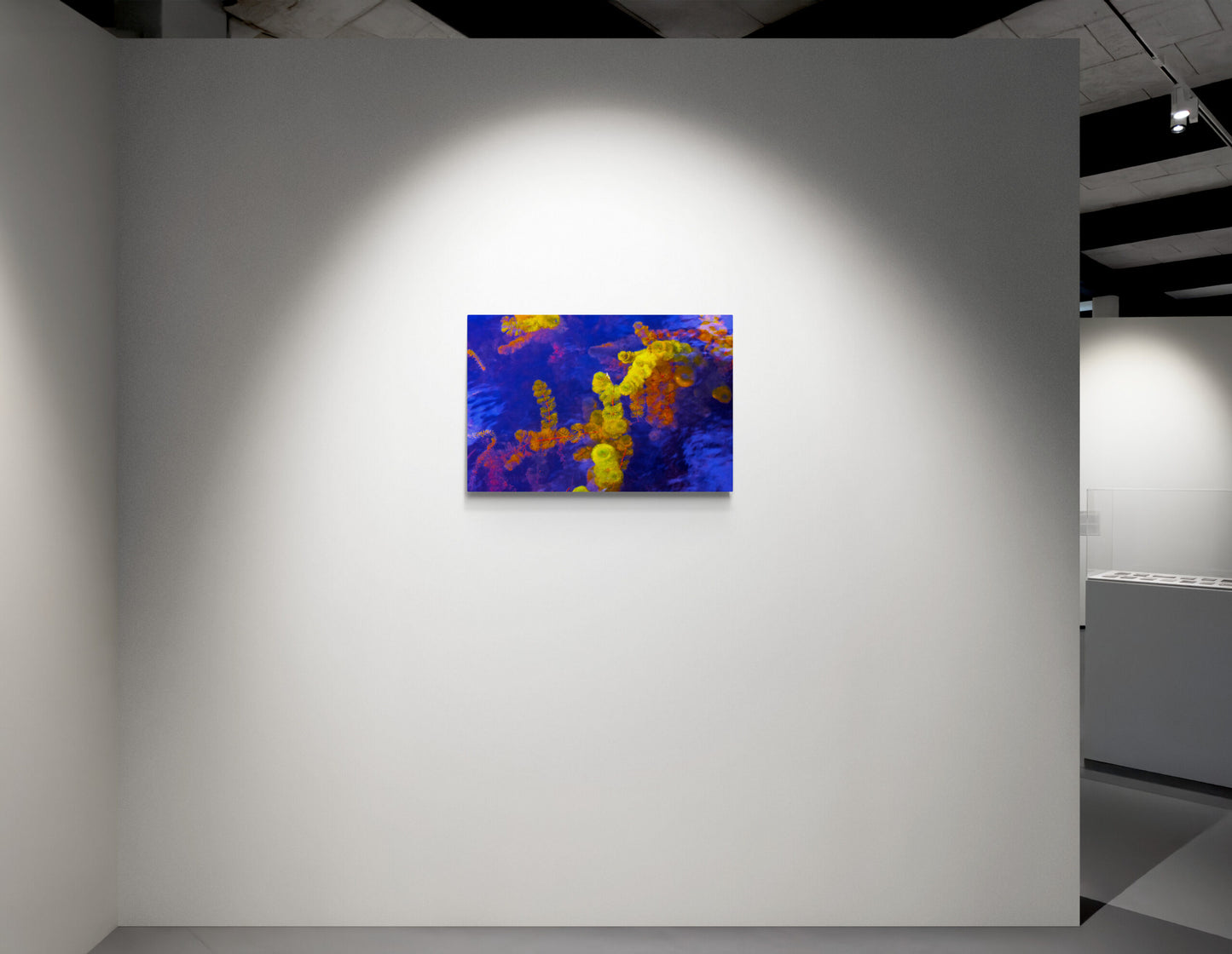 Purple and Yellow (Cabomba) image 4