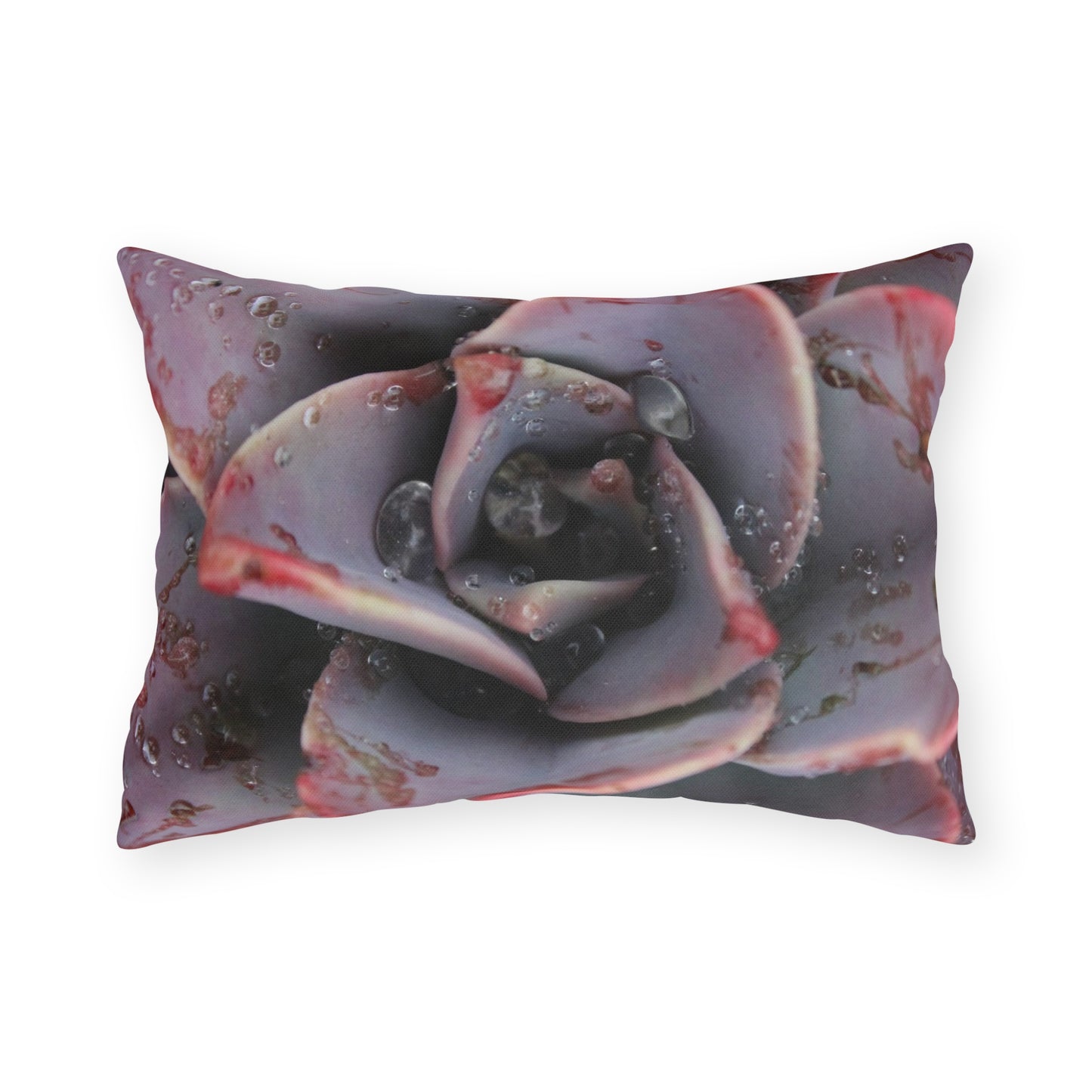 Outdoor Pillow "Red Succulent" by Kim A. Bailey - Choice of 4 sizes