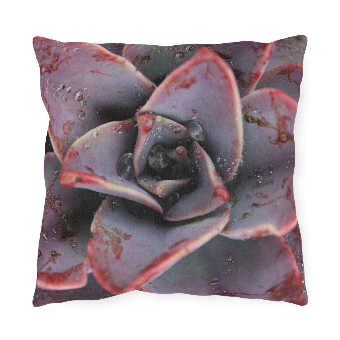 Outdoor Pillow "Red Succulent" by Kim A. Bailey - Choice of 4 sizes
