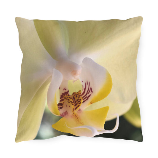 Outdoor Pillow "Green Phalaenopsis Orchid" Choice of 4 sizes
