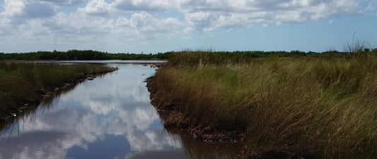 A color photograph of a winding water path in a wetland environment, with tall grasses and a reflective water surface under a blue sky with clouds. Airboat Trail, Everglades, Florida, Original Photograph by Kim A. Bailey