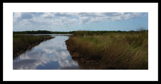 Airboat Trail, Everglades, Florida, Original Photograph by Kim A. Bailey