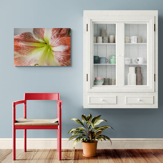 Amaryllis, Original Photograph by Kim A. Bailey