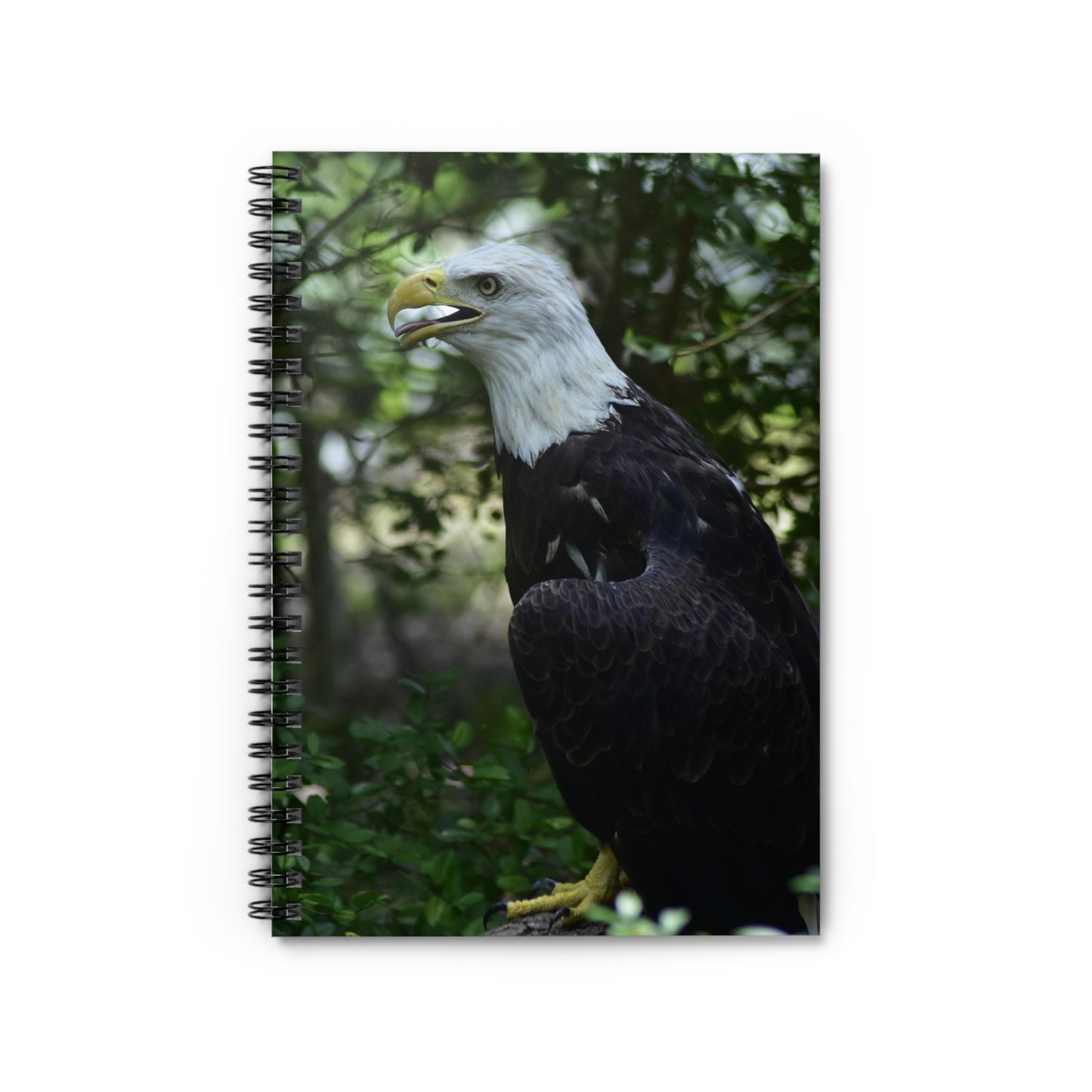 A spiral notebook with a photograph of a bald eagle on the front cover, set against a blurred natural background.