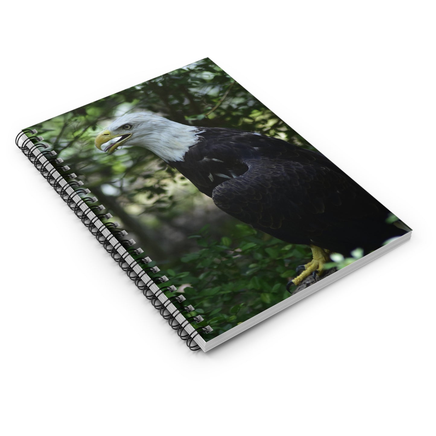 American Bald Eagle Spiral Notebook - Ruled Line Photo By Kim A. Bailey