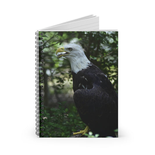 American Bald Eagle Spiral Notebook - Ruled Line Photo By Kim A. Bailey