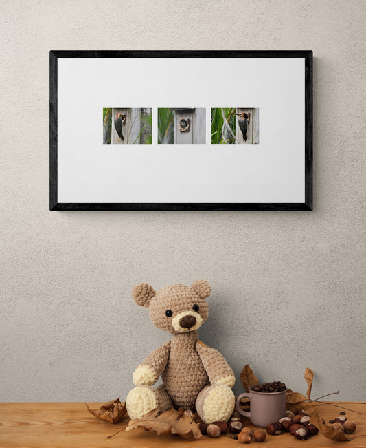 Framed photographs of birds on a nest with a teddy bear and autumn leaves on a wooden surface. Baby Woodpecker Being Fed by Parent, Photographic Triptych, Original Photograph by Kim A. Bailey