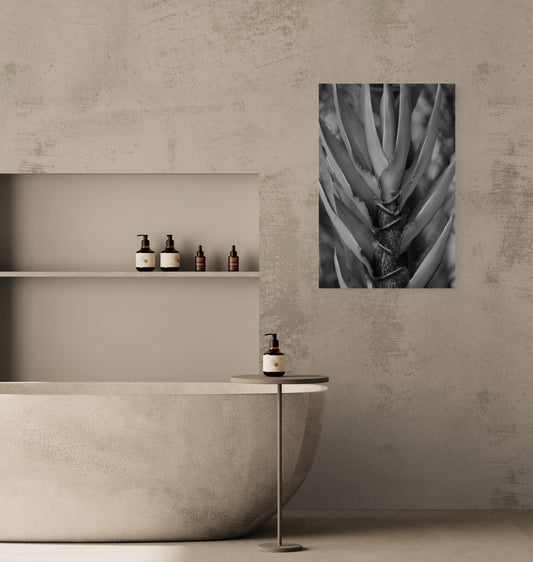 Bamboo-Close B/W Original Photograph by Kim A. Bailey in a Spa Bath