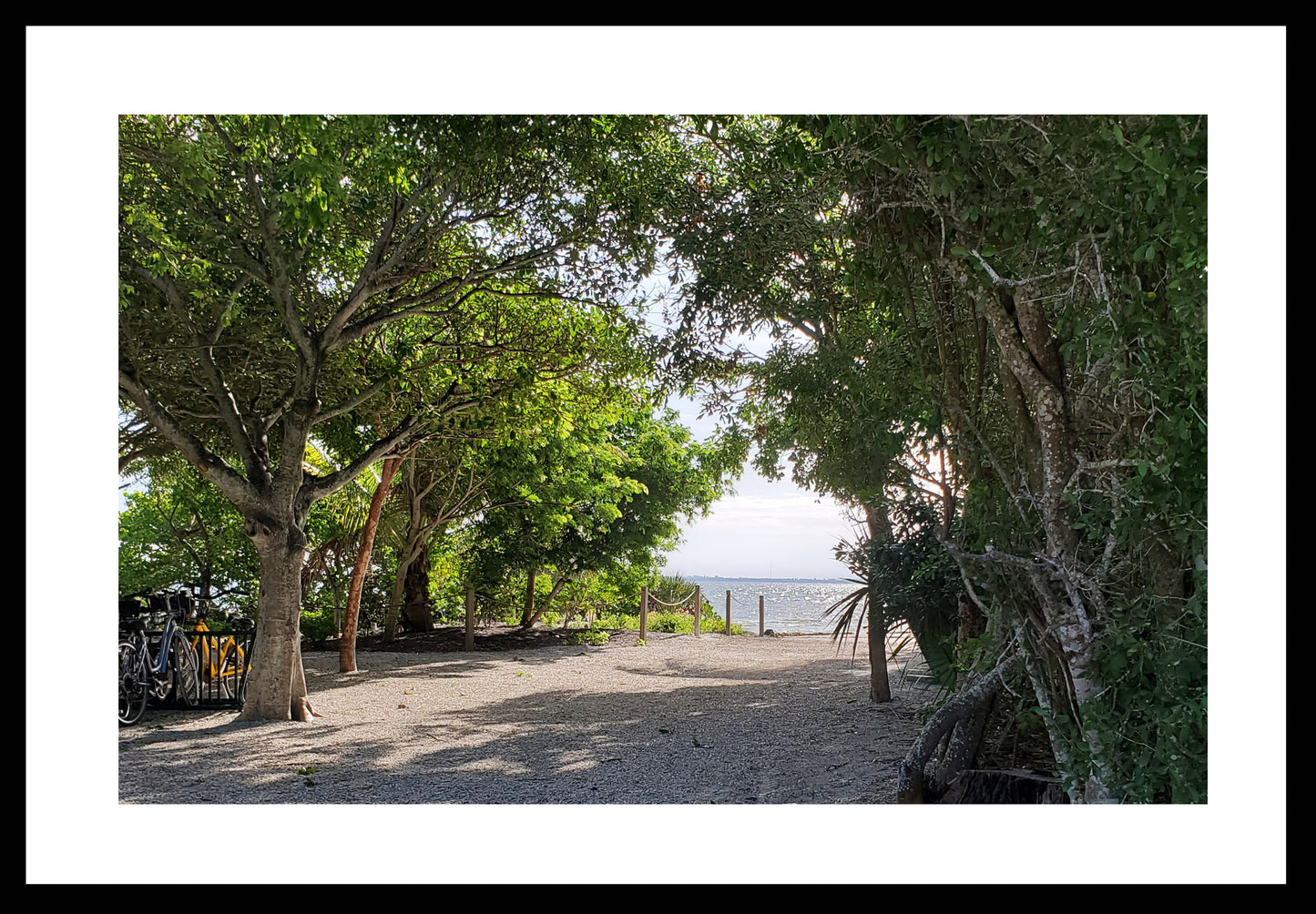 Bike to the Beach