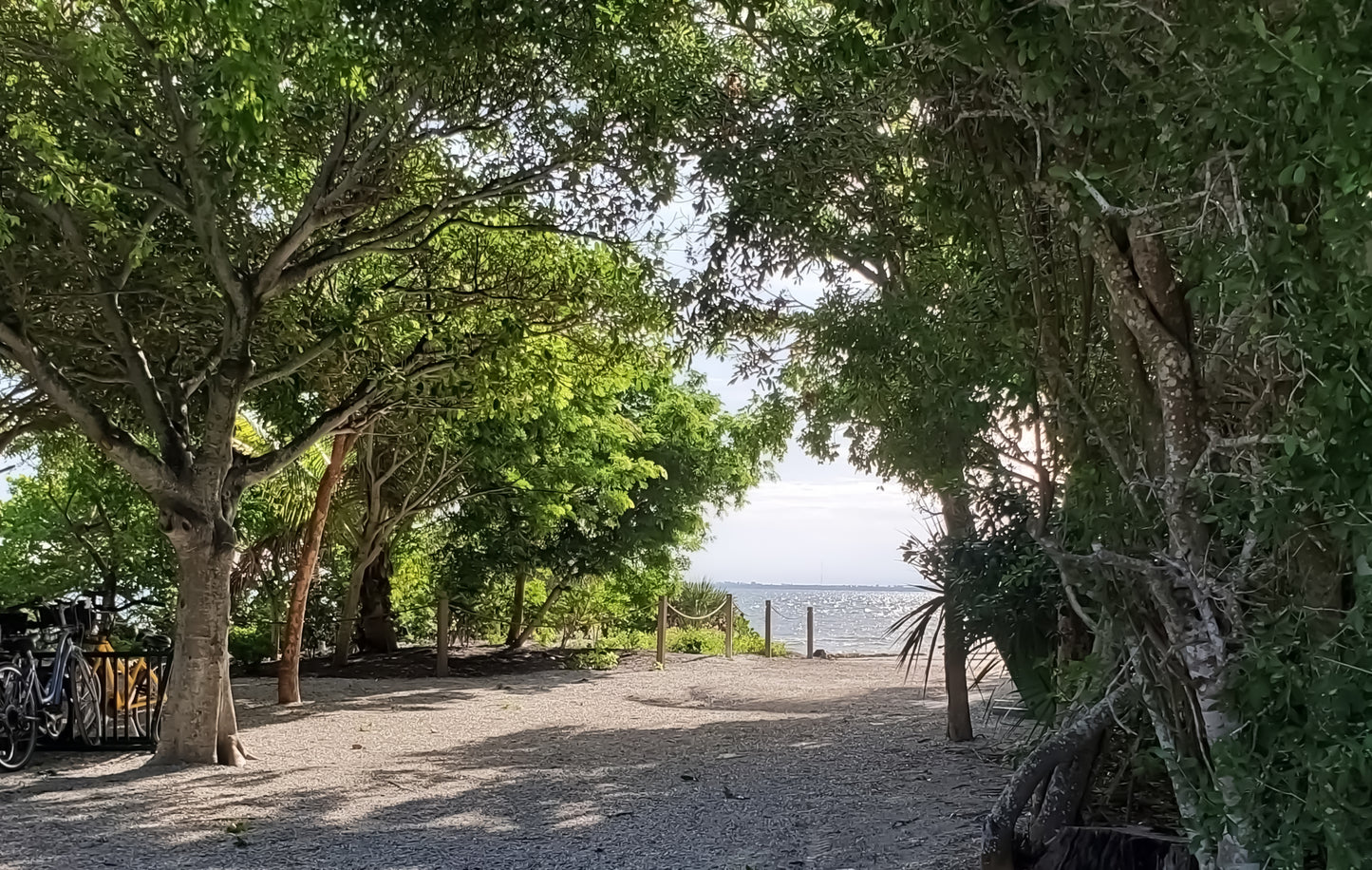 Bike to the Beach