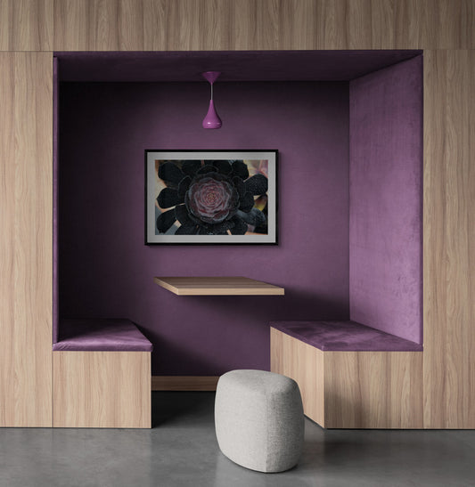 Modern interior design with purple walls, wooden benches, and a gray ottoman. Black and Green Succulent