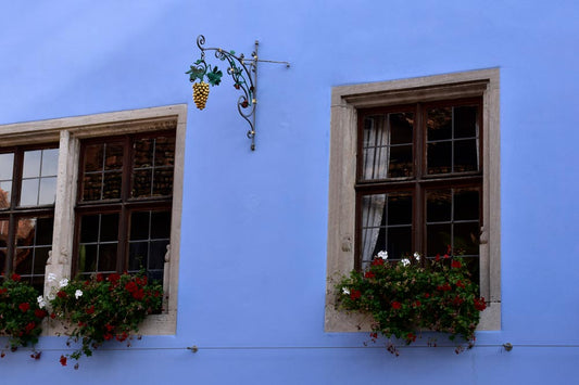 A color photograph showing the facade of a building with deep blue walls, windows, and gold grapes, in Rothenburg, Germany.