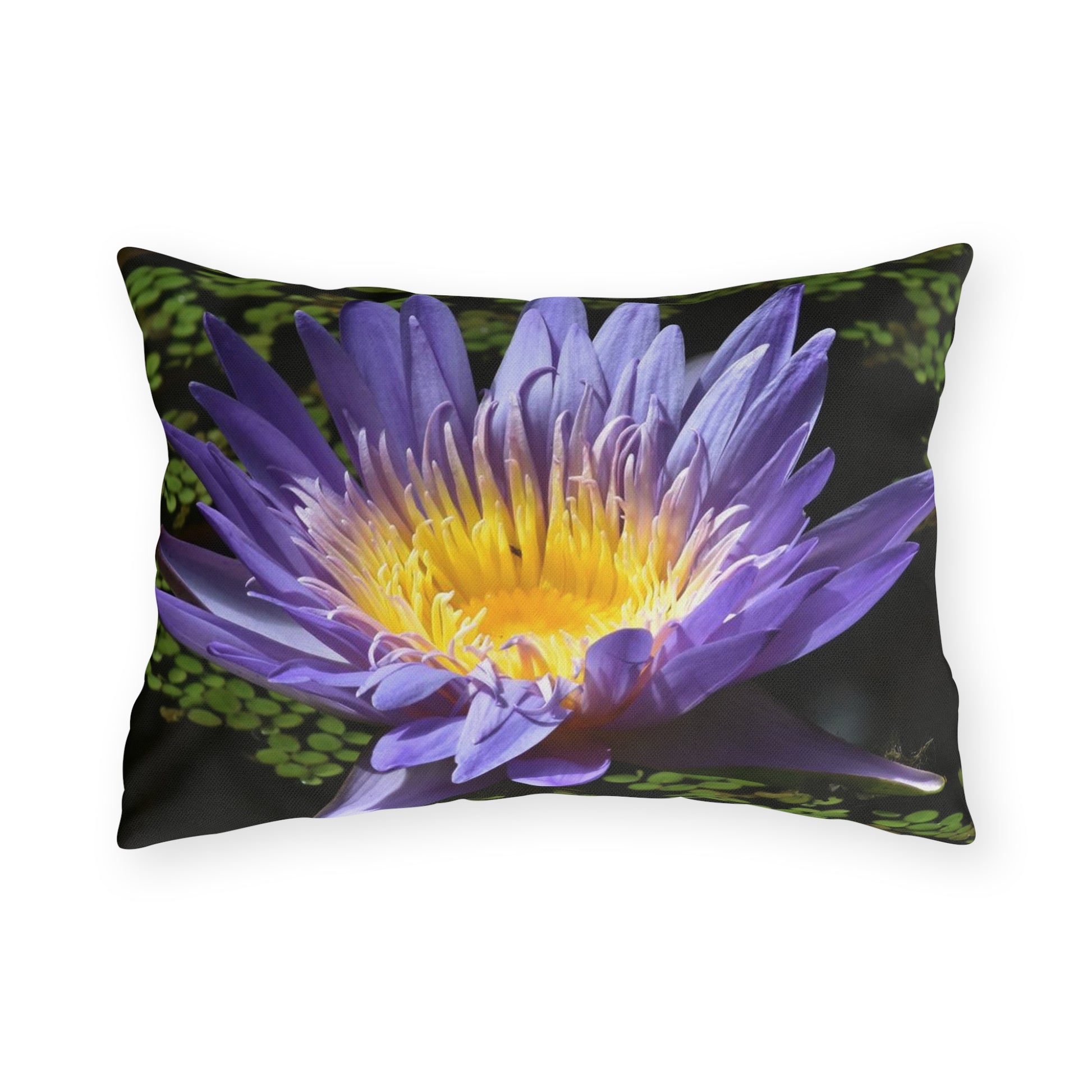 Decorative pillow with a purple flower design on a white background