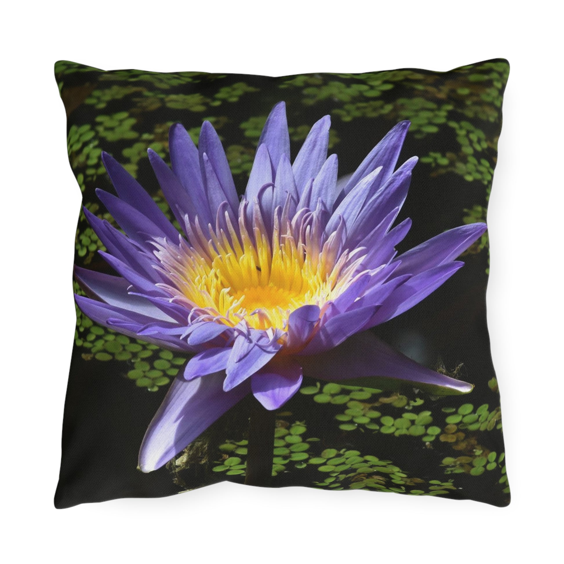 Pillow with a purple flower design on a black background