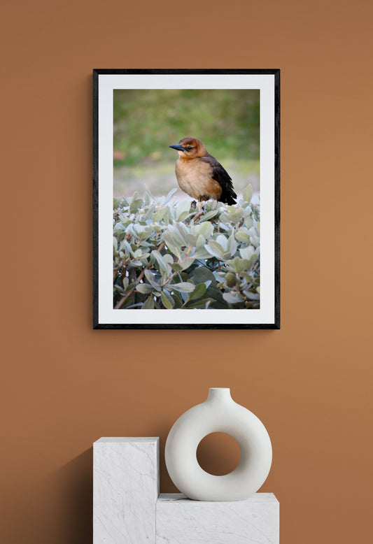 Framed photograph of a bird on a leafy branch against a brown wall with a white vase on a white block.
