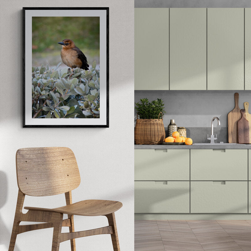 Framed bird photograph next to kitchen setting with green cabinets and wooden chair.