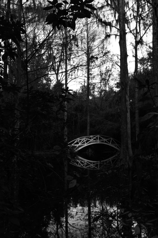 A black and white photograph of a white wooden bridge over a pond, surrounded by trees, at Magnolia Gardens in South Carolina. Bridge at Magnolia Gardens (B/W) Original Photograph by Kim A. Bailey