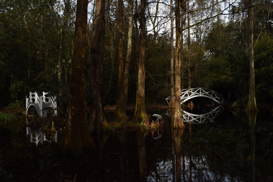 A color photograph of two decorative bridges over a pond at Magnolia Gardens, surrounded by trees. Bridges at Magnolia Gardens, Original Photograph by Kim A. Bailey
