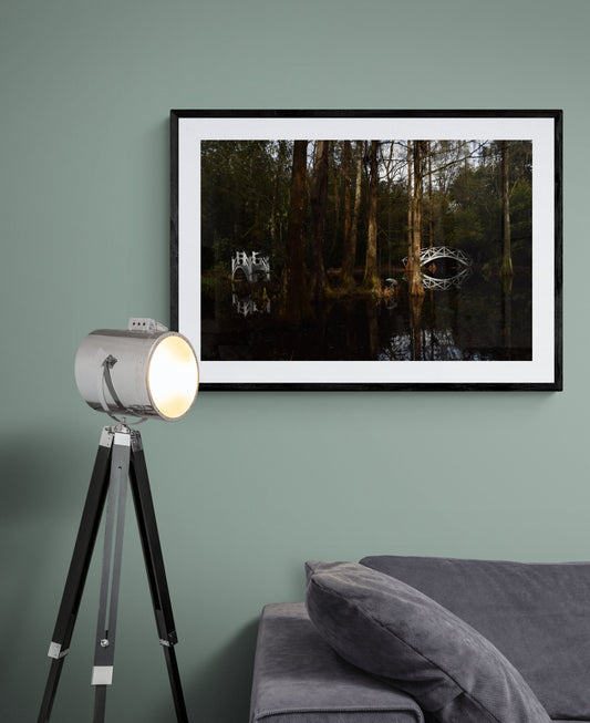 Framed forest photograph on a green wall with a tripod lamp and sofa. Bridges at Magnolia Gardens, Original Photograph by Kim A. Bailey