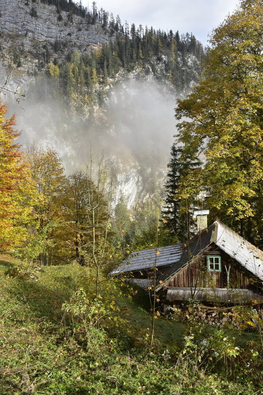 A photograph of a cabin in the mountains, surrounded by autumn-colored trees and a misty background, capturing the scenic beauty of Hallstatt, Austria.