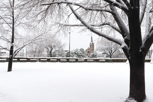 Snow-covered trees and a church spire in a winter landscape