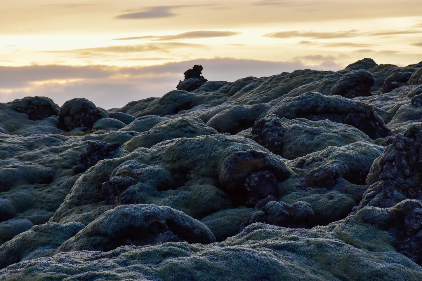 Nature-Inspired Photography Prints to Elevate Your Space "Green Moss on Lava Rocks in Iceland"
