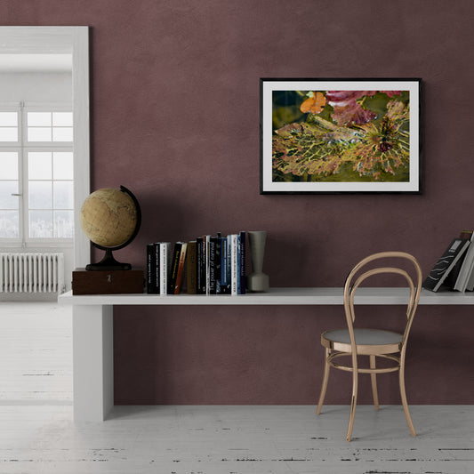 Room with a desk, chair, and wall art on a purple wall. Decaying Leaves in Water (Orange, Red, and Green), Original Photograph by Kim A. Bailey