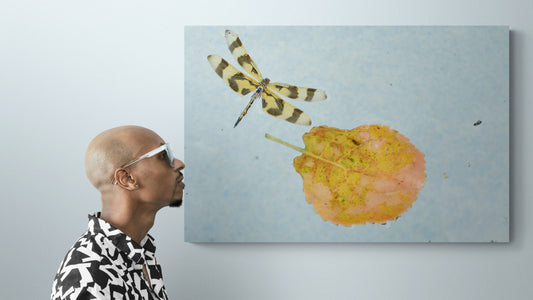 Dragonfly and Leaf, Original Photograph by Kim A. Bailey