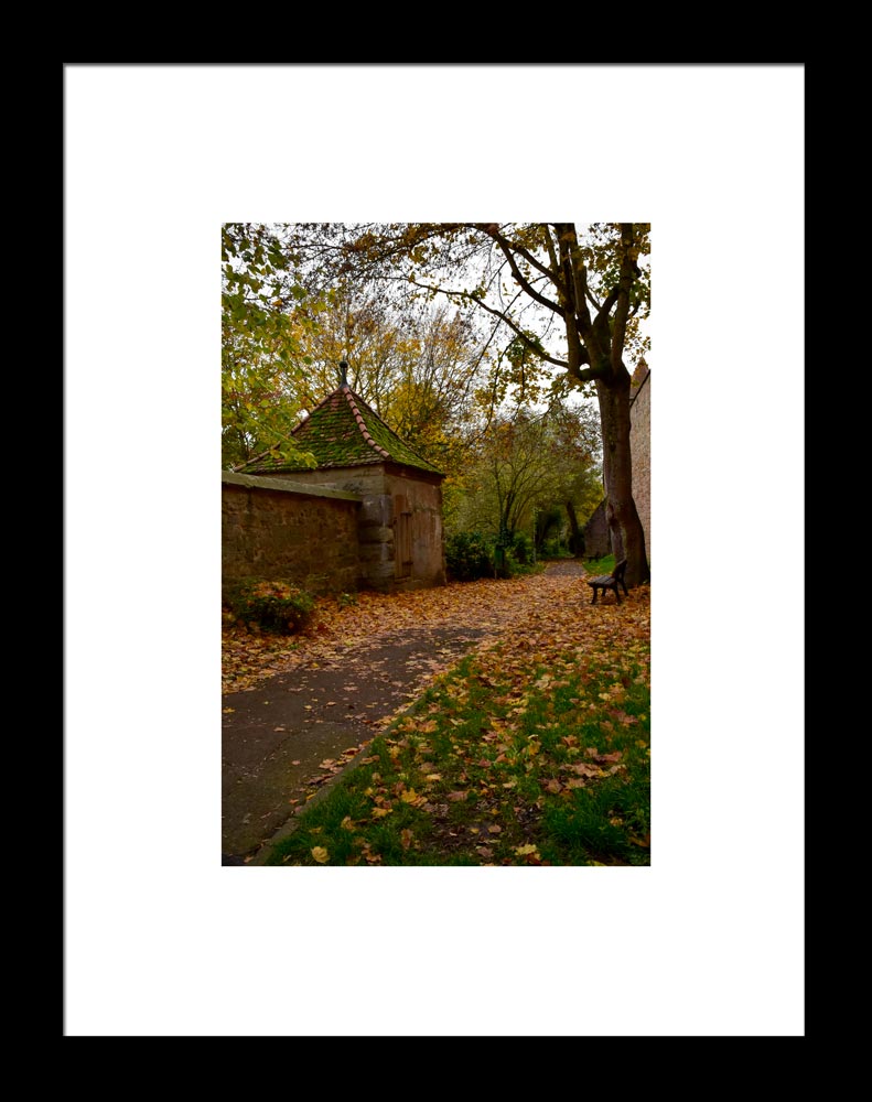 Fall-in-Germany-Framed, Original Photograph by Kim A. Bailey