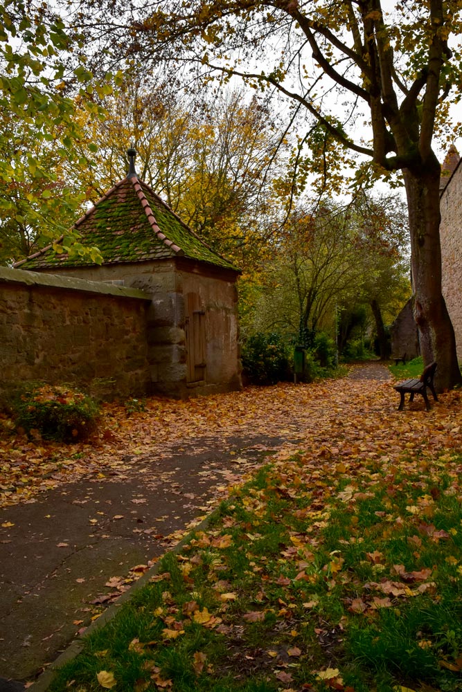 A photograph of a winding walkway in Rothenburg, Germany, adorned with vibrant fall leaves, leading to an old stone structure and a bench under a tree.