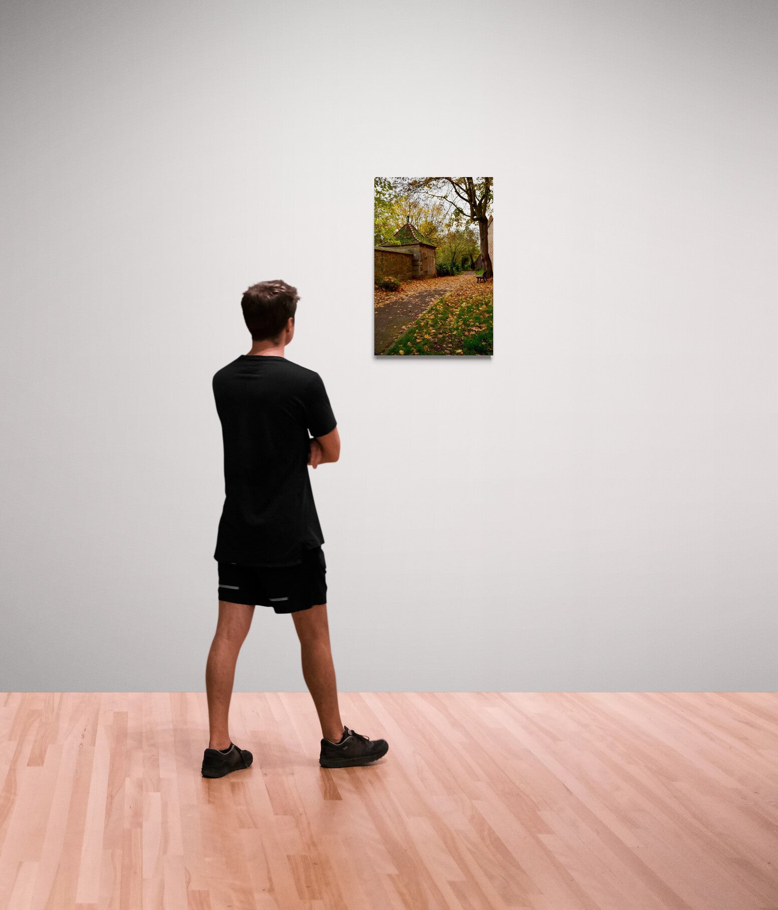 Fall in Germany hanging on a gallery wall.