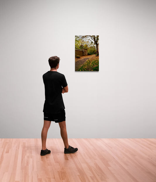 Fall in Germany hanging on a gallery wall.