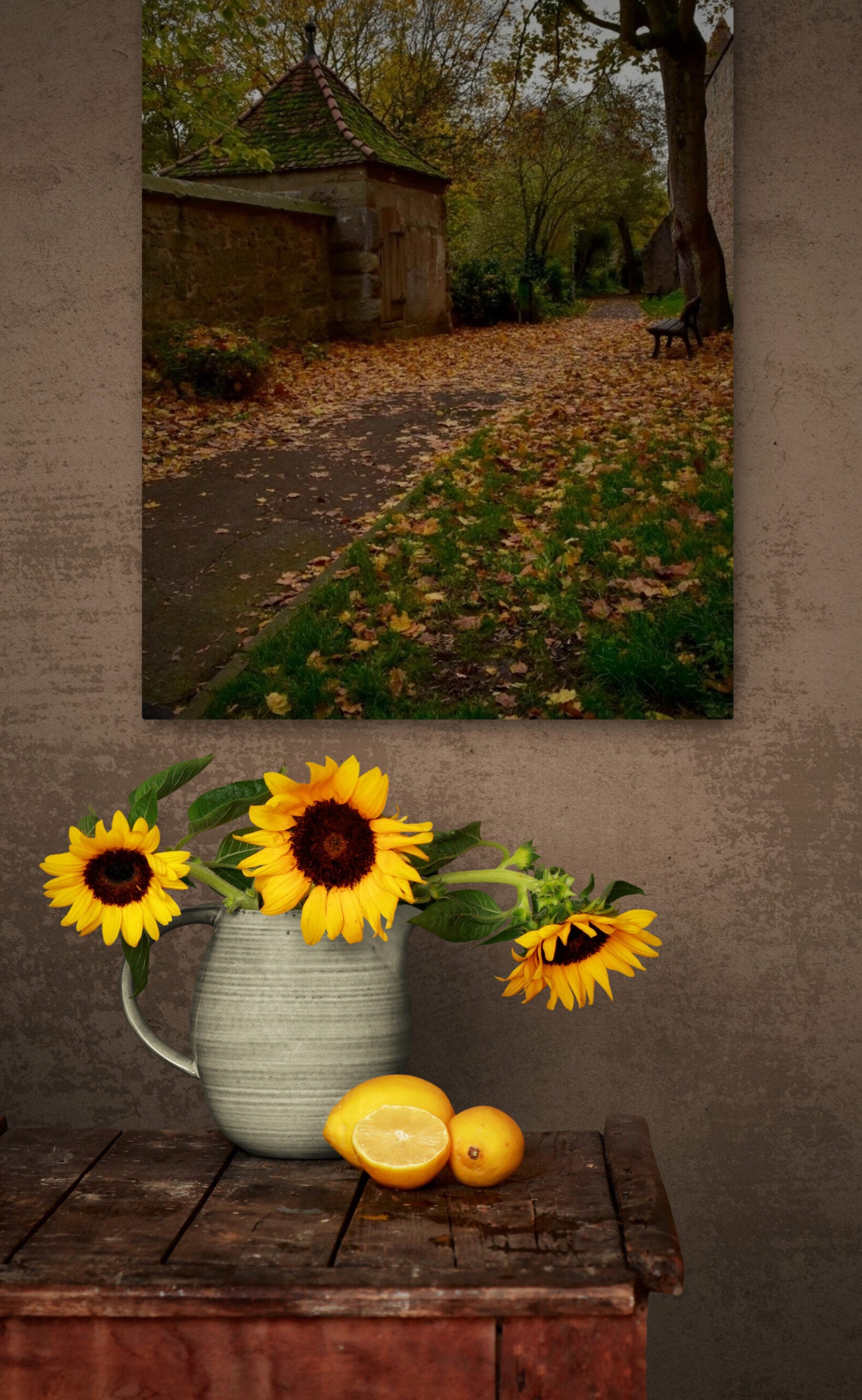 Fall in Germany, Original Photograph by Kim A. Bailey Hanging over a rustic wood bench with sunflowers