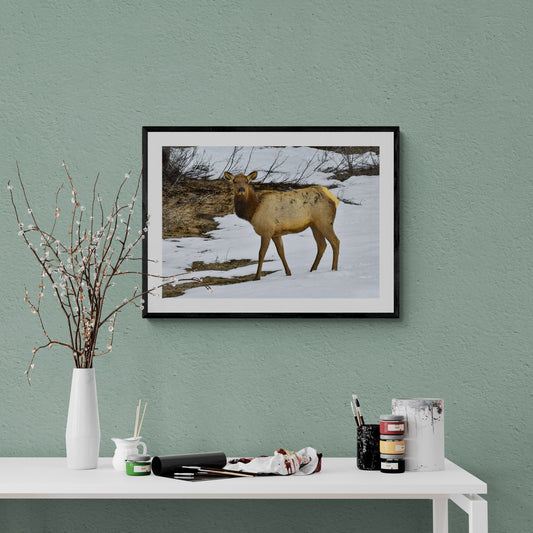 Framed photograph of a deer in a snowy landscape on a green wall above a white table with art supplies.