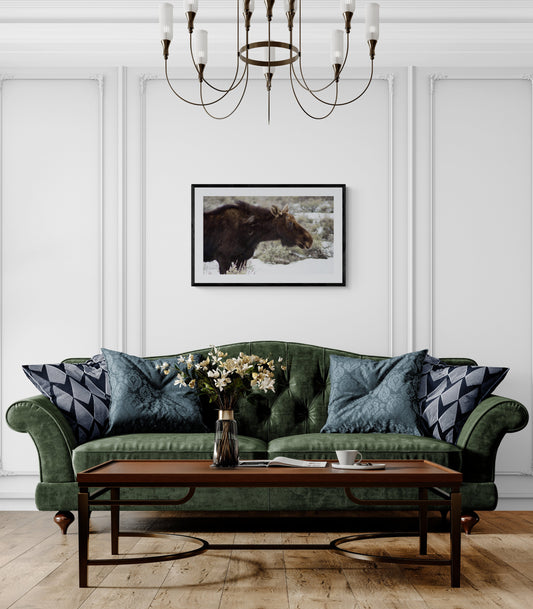 Living room with green sofa, decorative pillows, and a framed picture of a bear on the wall. Female Moose in Jackson Hole, Wyoming Original Photograph by Kim A. Bailey