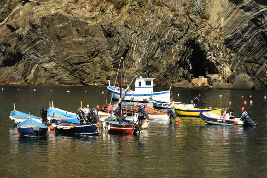 A photograph of small village fishing boats floating on the water in a bay, with the Italian flag visible on one of the boats and rocks in the background.