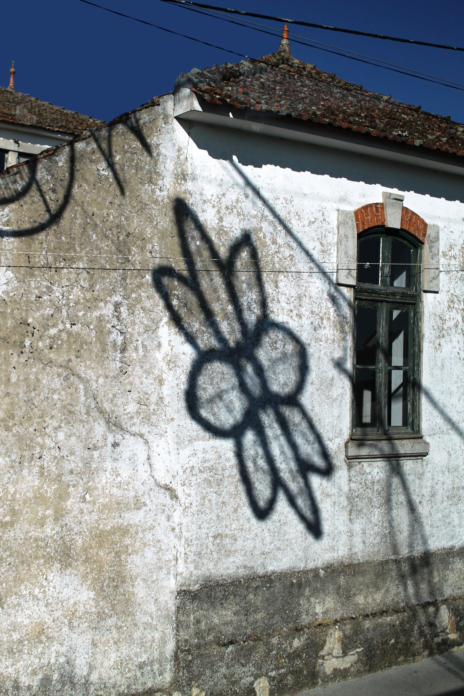 Shadow of a flower cast on the exterior wall of a building in Portugal. Flower Shadow - Portugal, Original Photograph by Kim A. Bailey