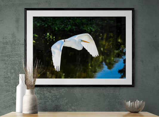 Framed photograph of a white bird flying over water on a wall above a wooden surface.