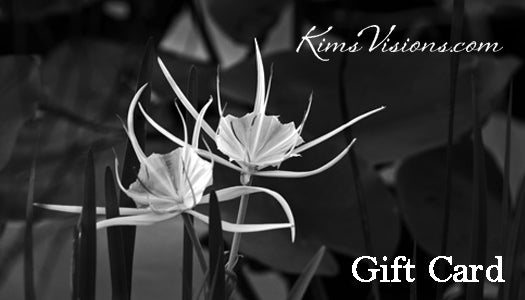 KimsVisions.com Gift Card