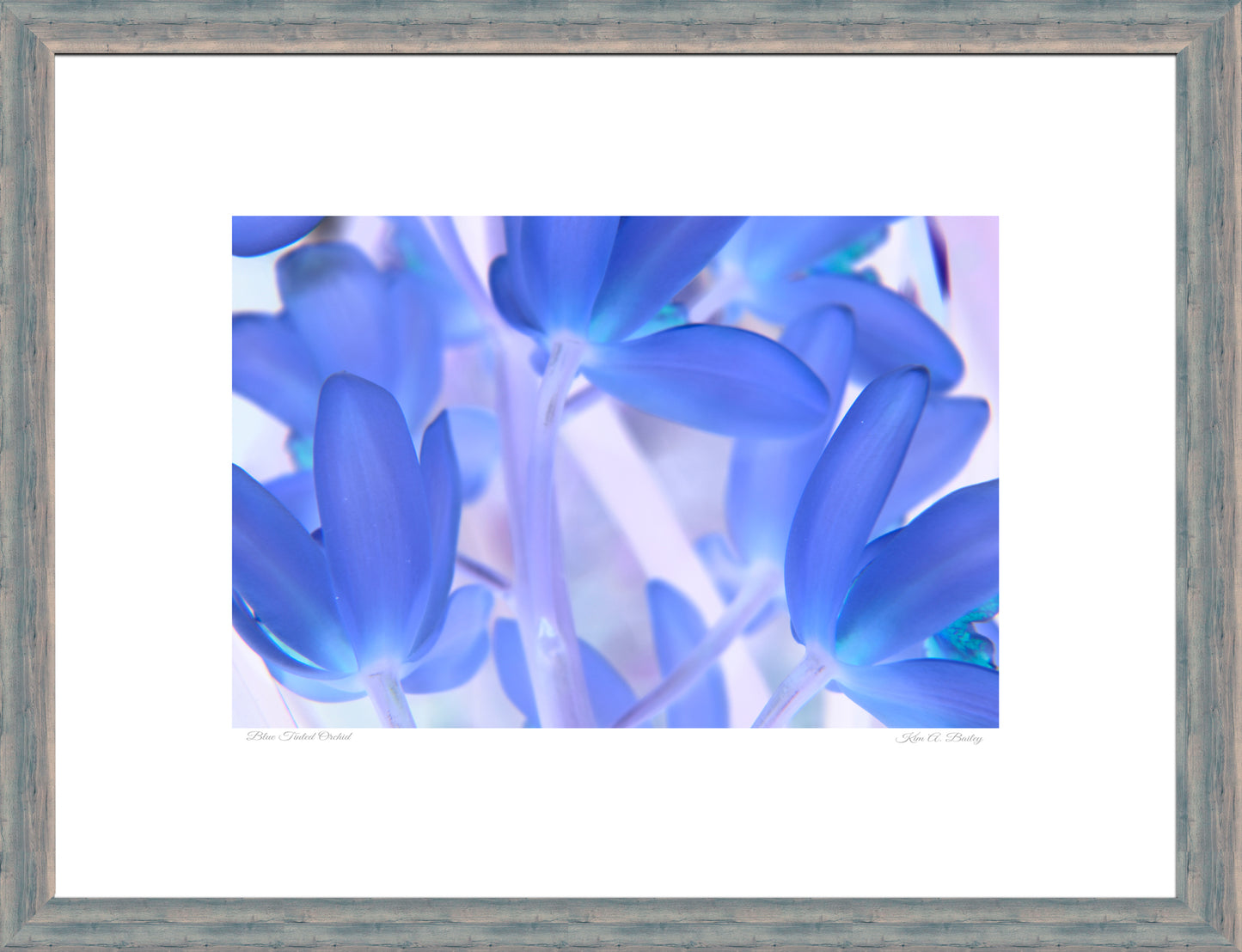 Blue Tinted Orchid - CUSTOMIZABLE!