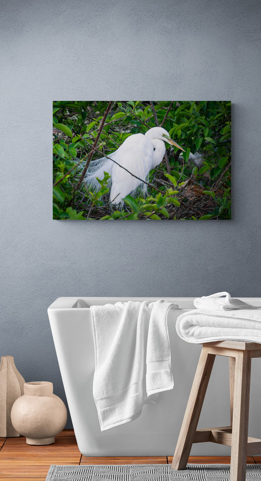 Great_White_Heron_Original_Photograph_by_Kim_A._Bailey hanging over a modern bathtub