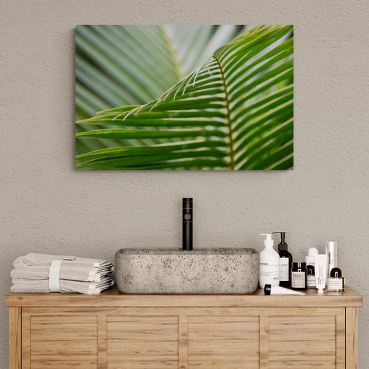 Green-Croton Original Photograph by Kim A. Bailey hanging in a bathroom