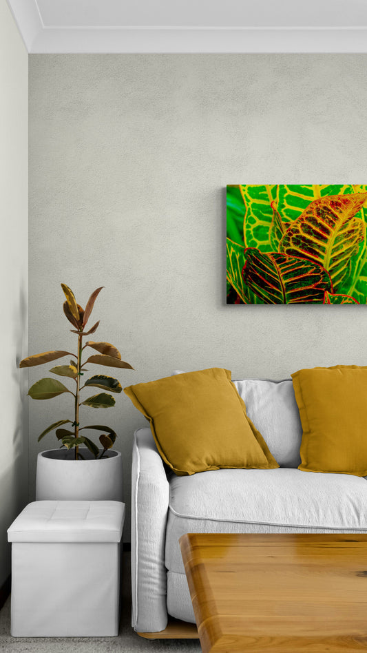Green Croton Original Photograph by Kim A. Bailey hanging in a living room.