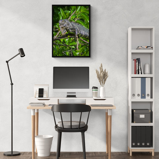 Green_Iguana_Original_Photograph_by_Kim_A._Bailey over a white desk