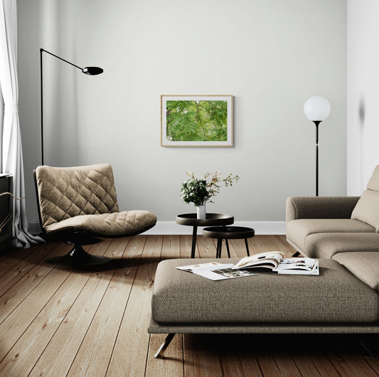 Green Tree Leaves, Original Photograph by Kim A. Bailey